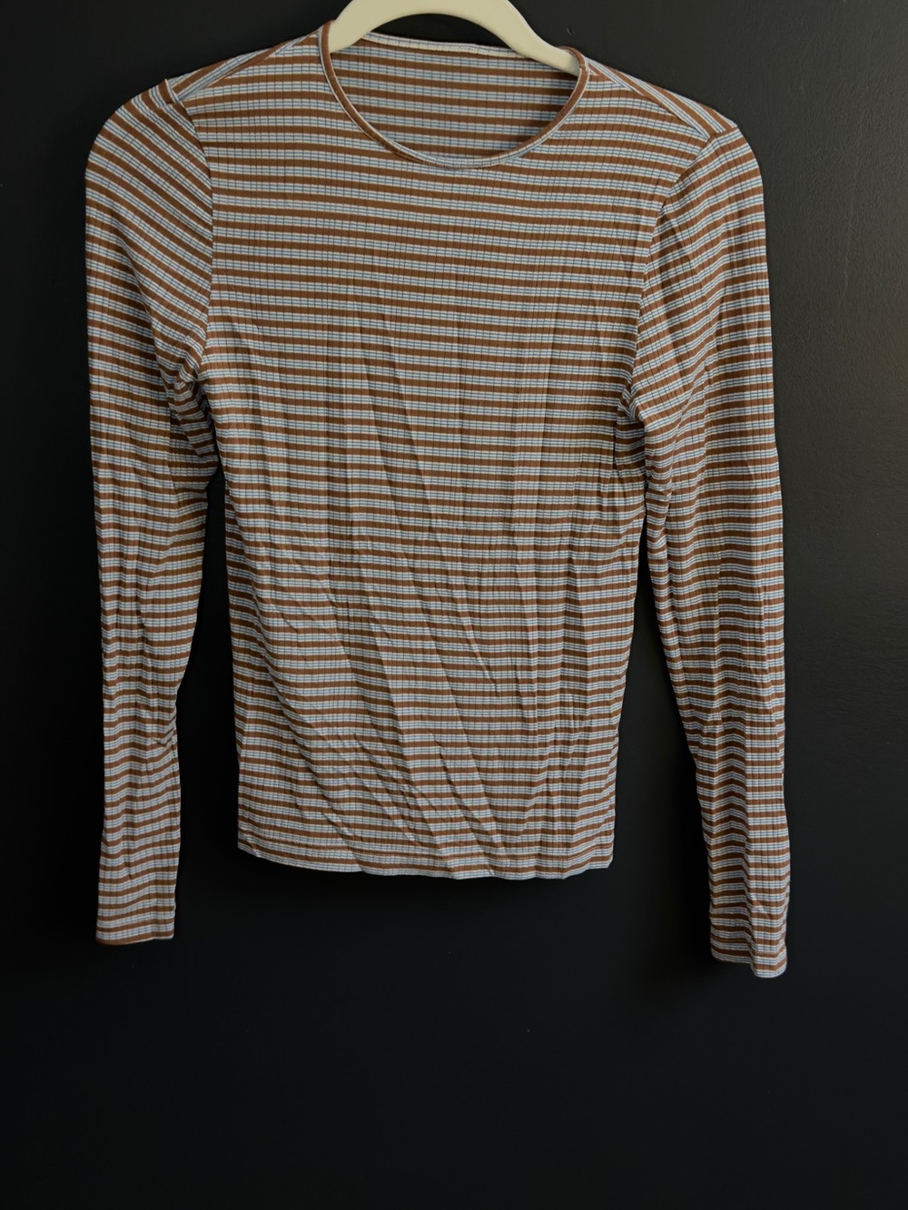 aerie Brown and White Striped Long-Sleeve Crew Tee